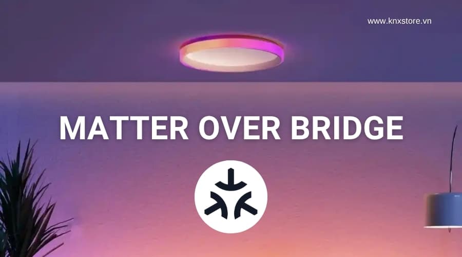 Matter over Bridge là gì? Vì sao nó gây nhầm lẫn cho người dùng?