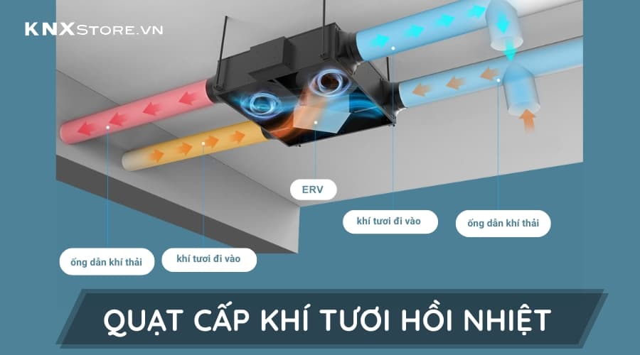 Quạt cấp khí tươi hồi nhiệt là gì? Top 3 thiết bị phổ biến nhất hiện nay