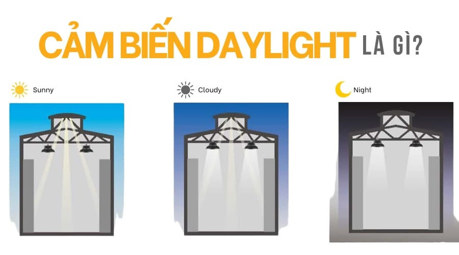 Cảm biến Daylight là gì? Nguyên lý hoạt động của cảm biến ánh sáng ban ngày?