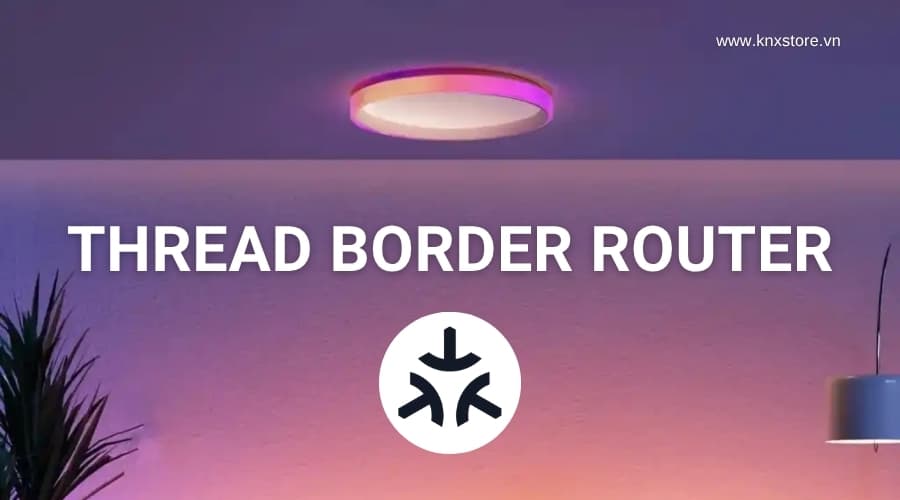 Thread Border Router Là Gì: Vai Trò Bắt Buộc Trong Hệ Thống Matter Thread