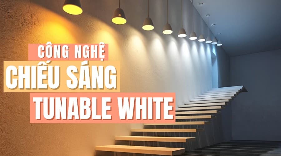 Cách để tăng năng suất làm việc lên 30% nhờ công nghệ chiếu sáng Tunable White