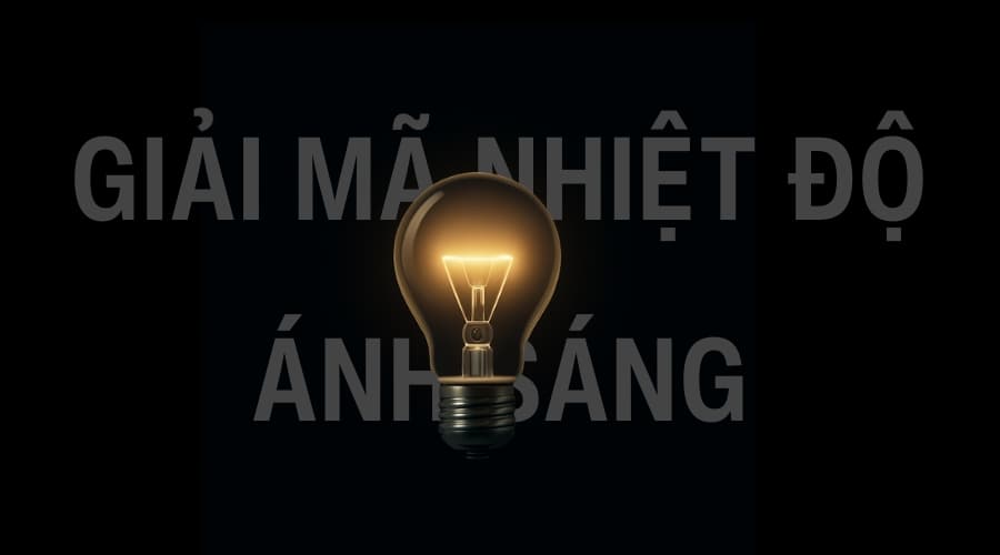 Giải mã ánh sáng: Khi màu sắc, cảm xúc và không gian hòa làm một