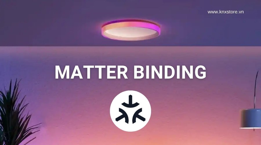 Matter Binding là gì?