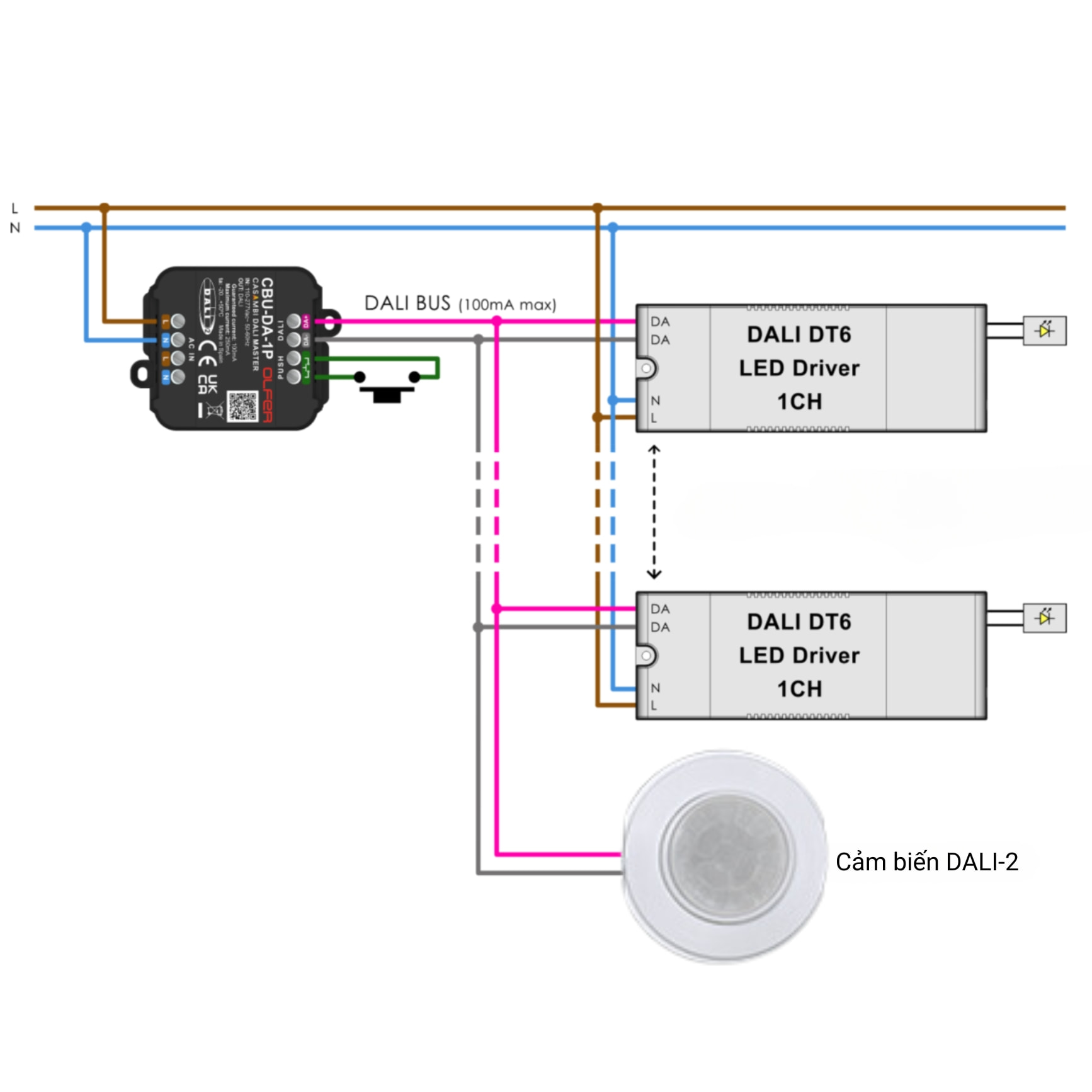 Cảm biến hiện diện DALI-2 IR-TEC Casambi - CIR-MRA-124S slide 2