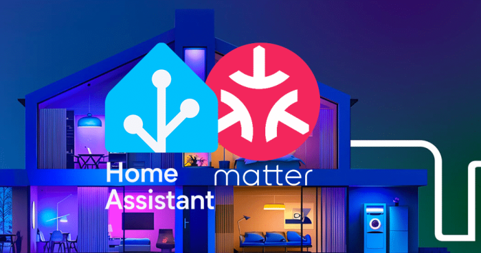 matter work with home assistant
