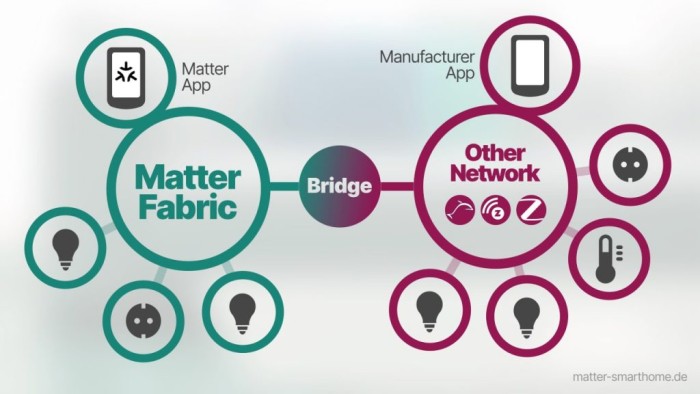 Matter Bridge là gì 2