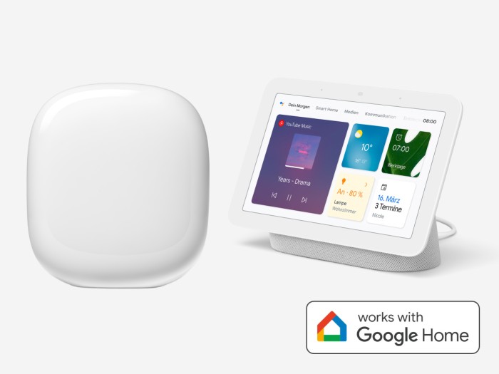 matter google home