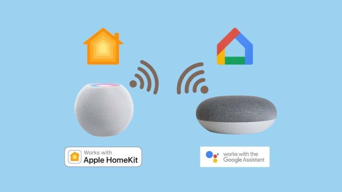 nên chọn HomePod mini, Apple TV hay Nest Hub làm Thread Border Router
 2