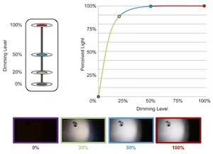 why-you-need-dimming-curves-2