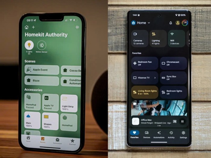 Giao diện Apple Homekit và Google Home
